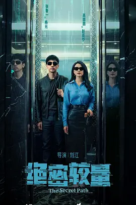 《绝密较量》 夸克下载 迅雷下载 电视剧